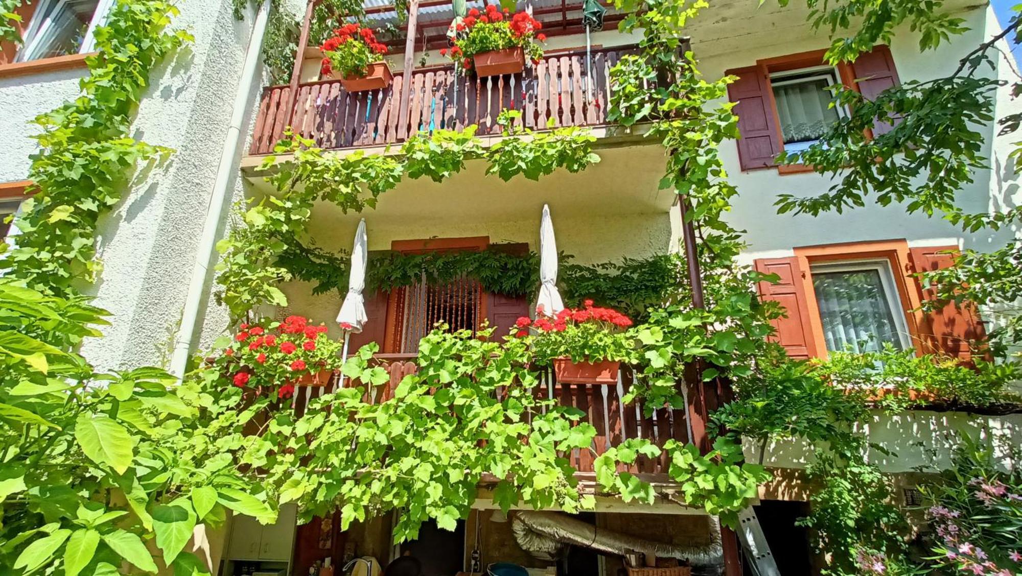 Urlaub Mit Charme In Der Kleinsten Stadt Der Pfalz. Obermoschel Bagian luar foto