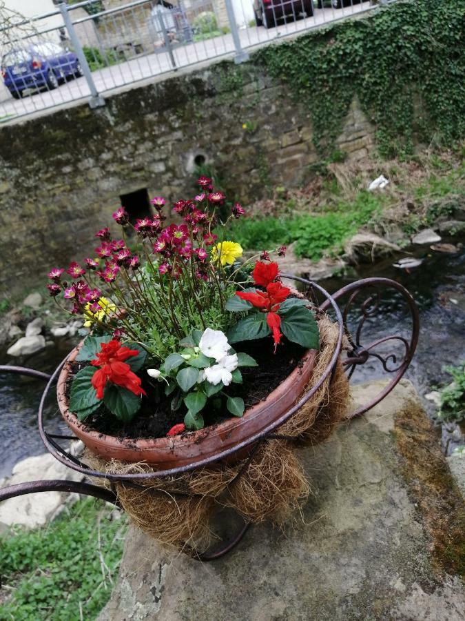 Urlaub Mit Charme In Der Kleinsten Stadt Der Pfalz. Obermoschel Bagian luar foto